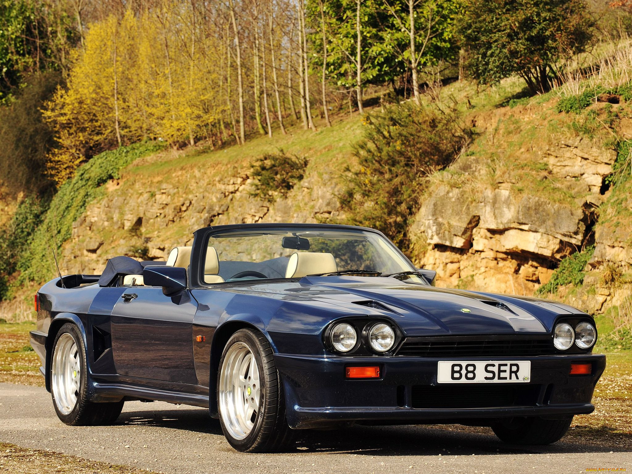 , jaguar